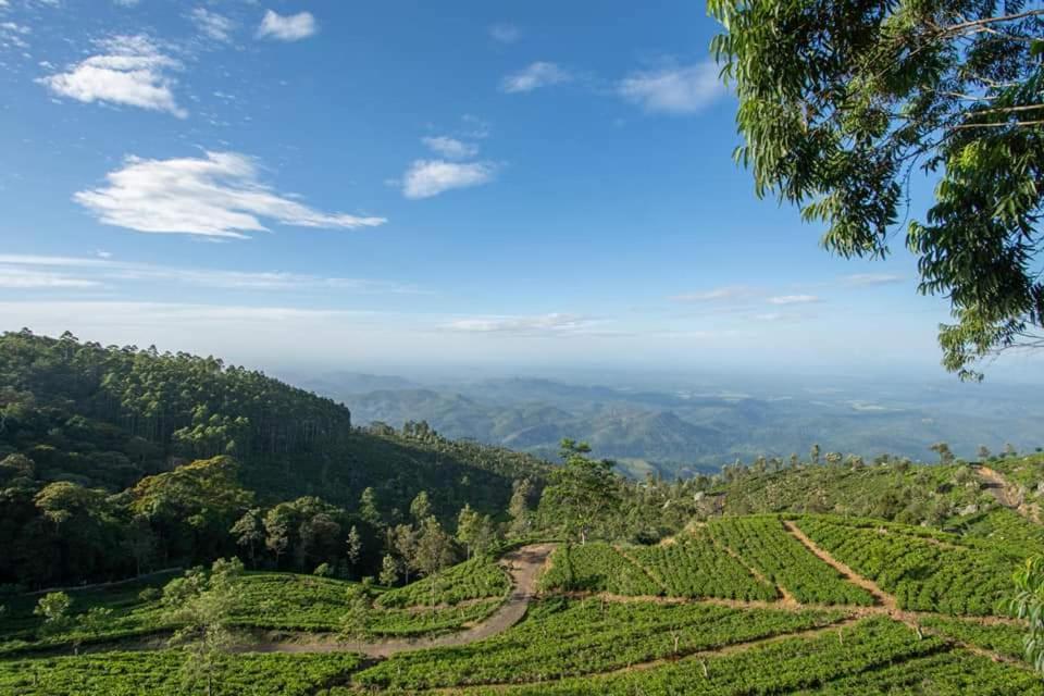 فندق Leisure Mount View هابيوتيل المظهر الخارجي الصورة