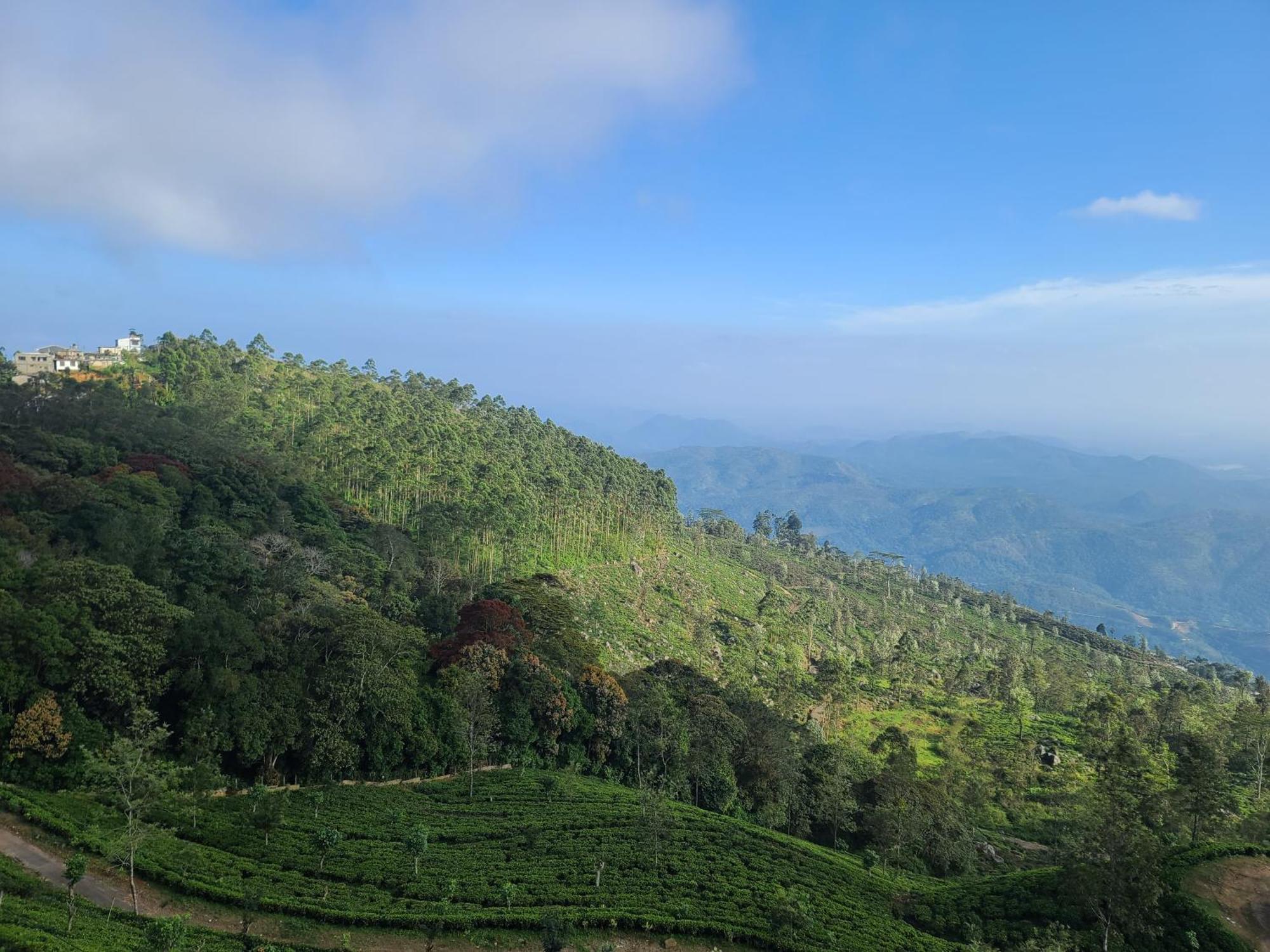 فندق Leisure Mount View هابيوتيل الغرفة الصورة